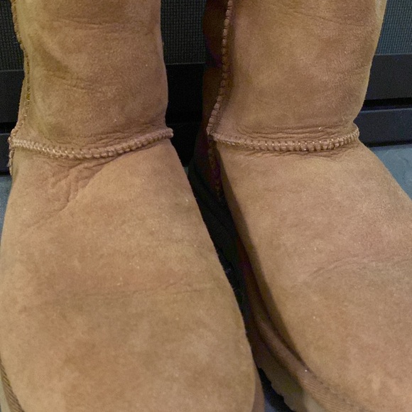 Classic Chestnut Tall UGGs. - Picture 9 of 10